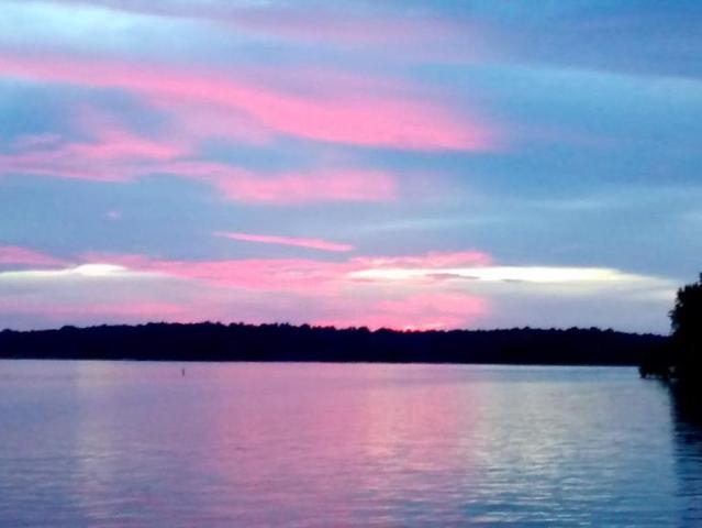 305 catamaran ct