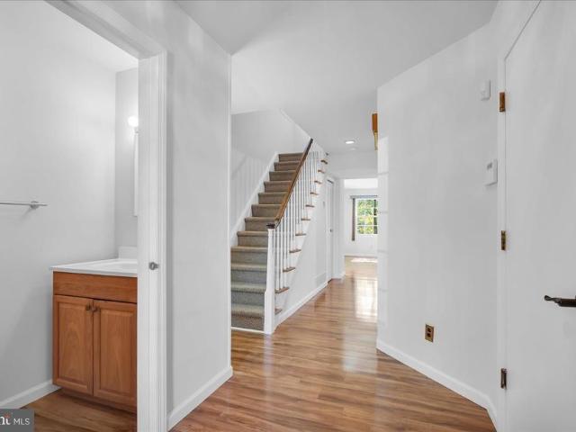 305 Hazelwood Lane