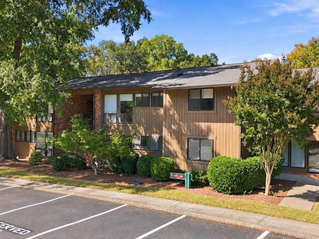 305 Oak Tree 305
