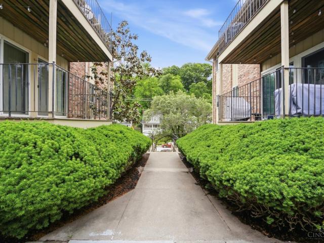 3069 Alpine Terrace