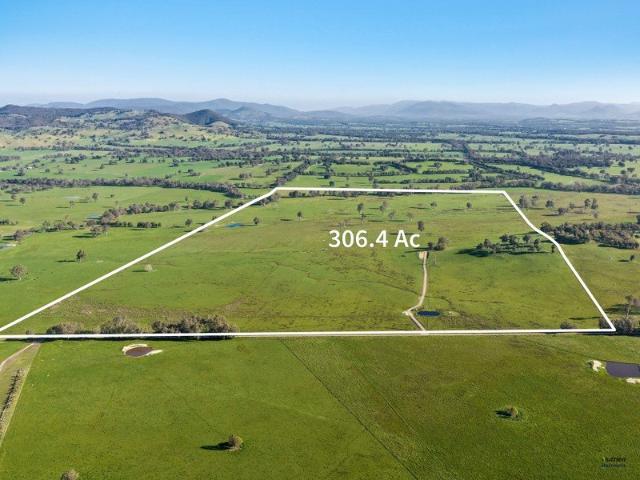 306 Acres of high capacity Creek Flats in sought after Molyullah