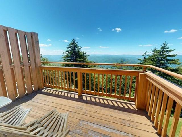 306D Smt, Snowshoe, WV 26209