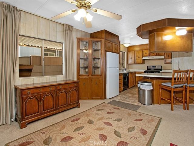 30751 Paradise Palm