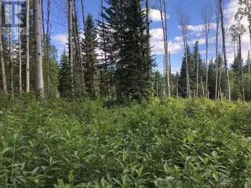 3078 Bradley Creek Road, 100 Mile House, BC, V0K 1M0 vacant.