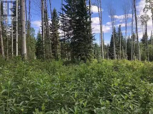 3078 Bradley Creek Road, 100 Mile House, BC, V0K 1M0 vacant.