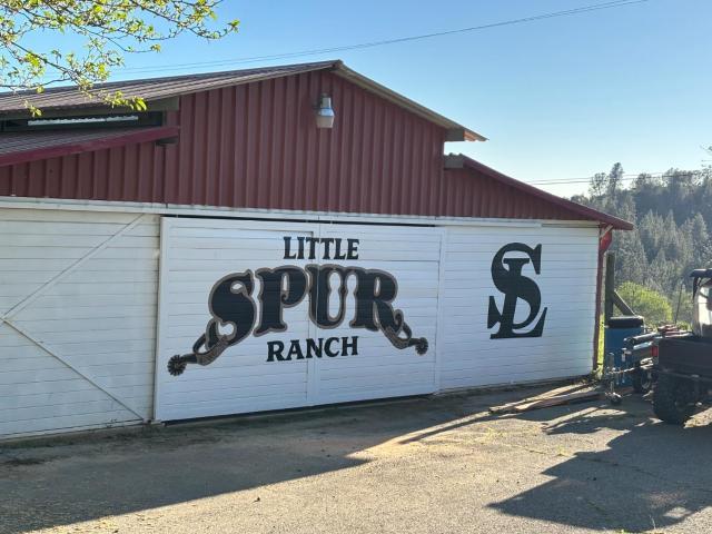 3081 Little Spur Rd, Somerset, CA 95684 | MLS #226022