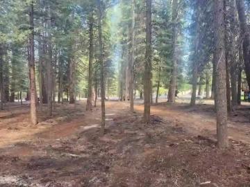 308 MANZANITA DR, CHESTER, CA 96020