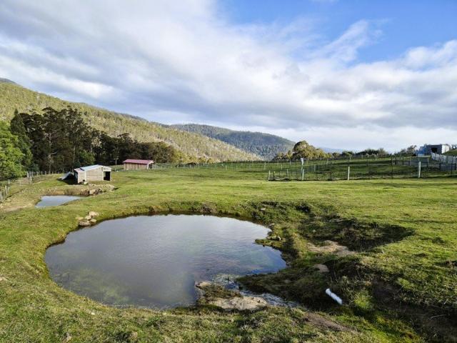 30 Acres with Approved House Plans