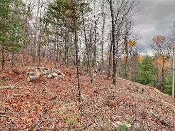 30 Ch. J1A, La Pêche, QC, J0X 1A0 vacant land for sale List.