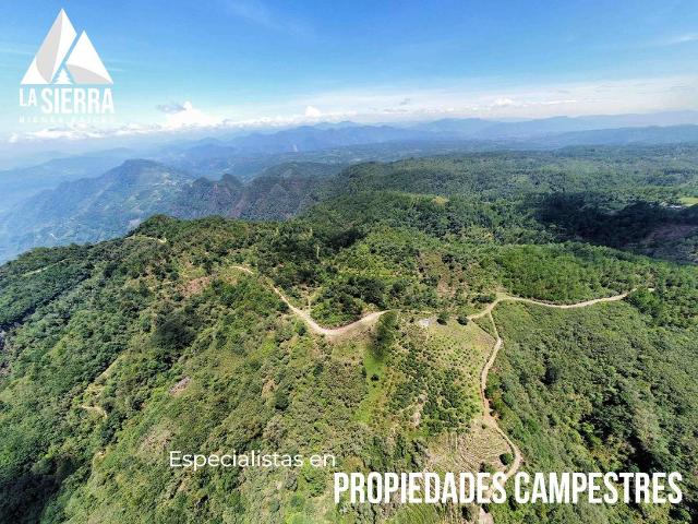30 Hect?reas de Terreno Boscoso frente a la Monta?a