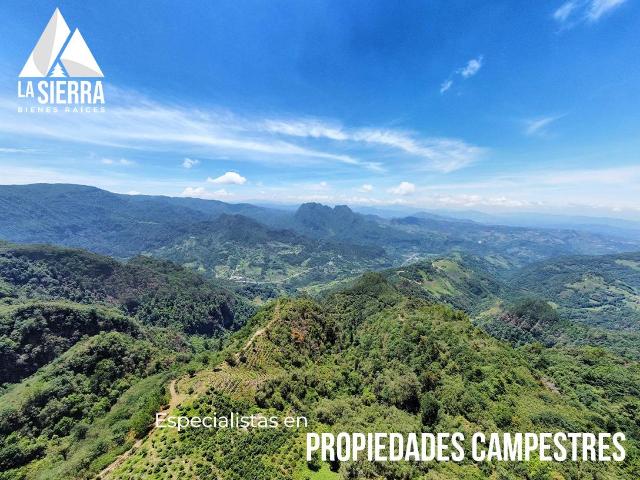 30 Hect?reas de Terreno Boscoso frente a la Monta?a