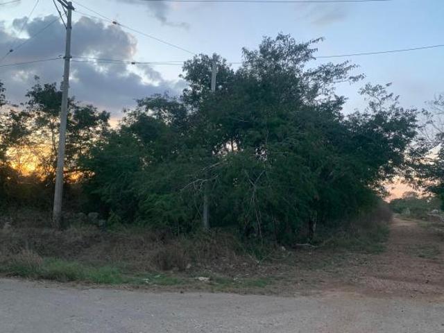30 HECTAREAS EN MERIDA ESQUINA CON SERVICIOS