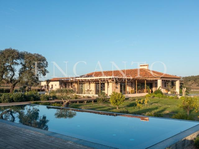 30 hectares com casa de charme, em pleno Alentejo, a 120 km. 464m² Pavia