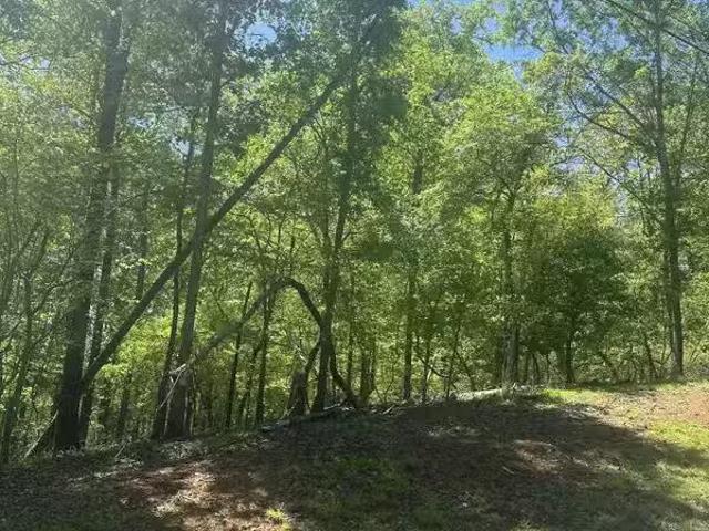 30 LAKEVIEW RDG, DADEVILLE, AL 36853