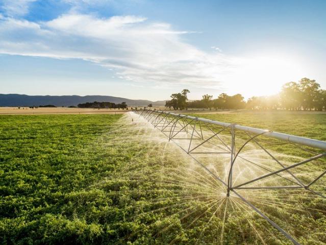 30 Megalitre Irrigation Allocation
