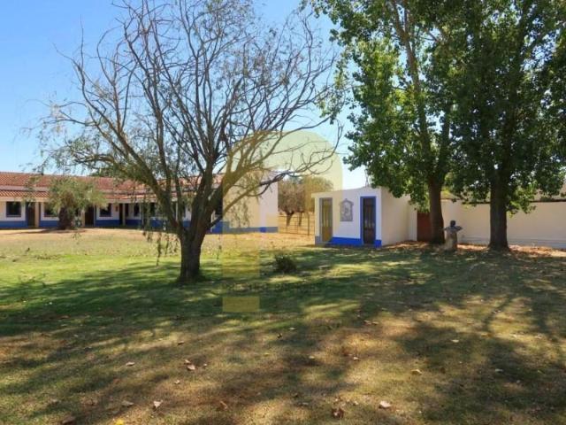 30 quarto, Montemor Montemor LS105410105