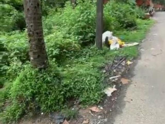 3100 Sq.Mt. Plot in Morjim Goa Listing ID: #10021