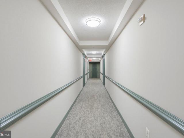 3101 N Hampton Drive # 704