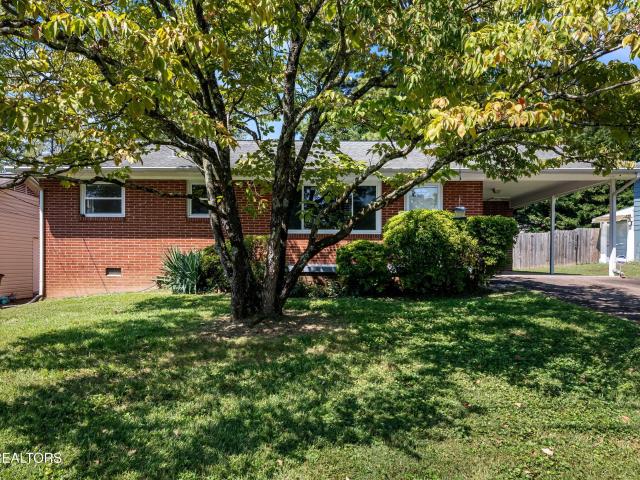 3101 Gerson Drive