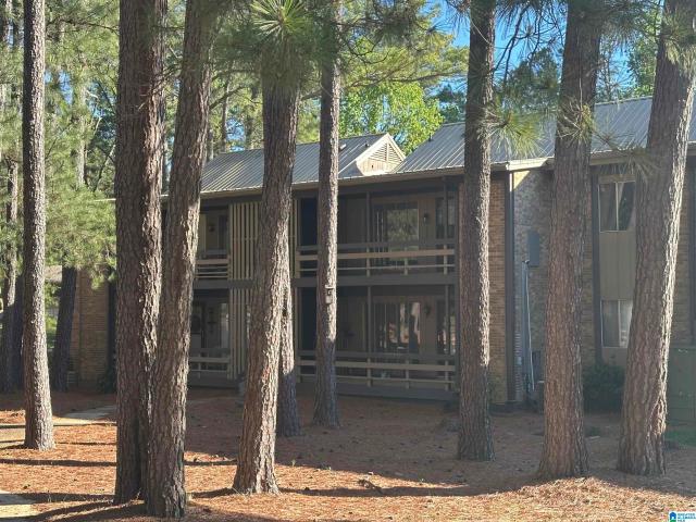 3101 Lorna Road # 1723