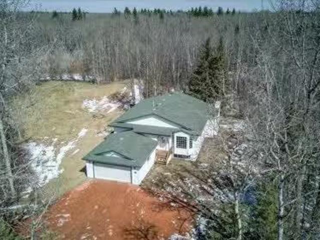 310 50247 Rge Rd 232, Rural Leduc County, AB, T4X 0K9 house.