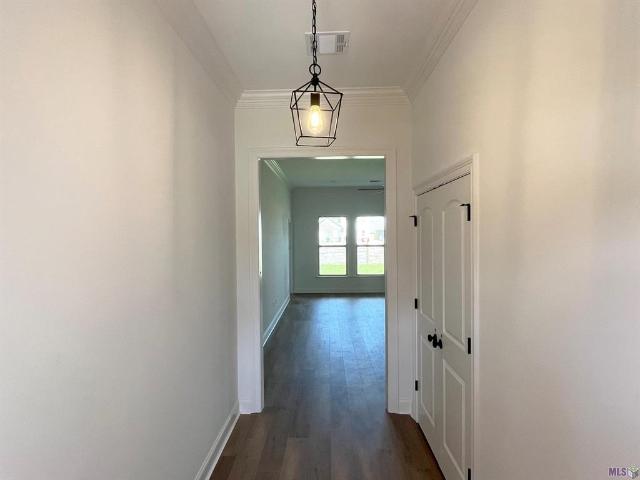 310 Olivia Drive