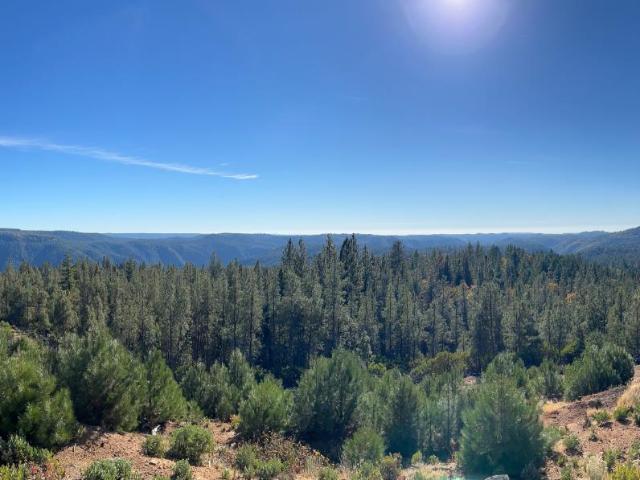 31180 Knob Cone Rd, Gold Run, CA 95717 | MLS #225141