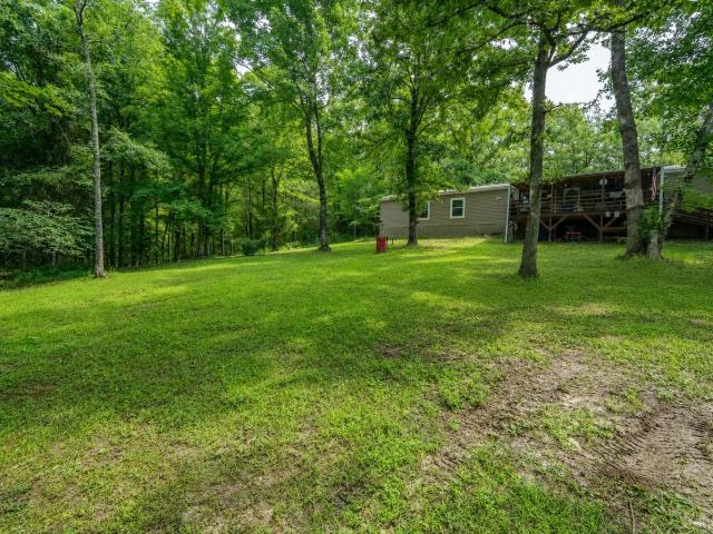 311 dew drop rd