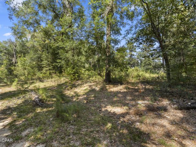 3126 Magnolia Way, Vernon, FL 32462 | MLS #779575