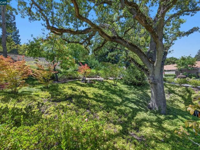 3126 Terra Granada Dr 2