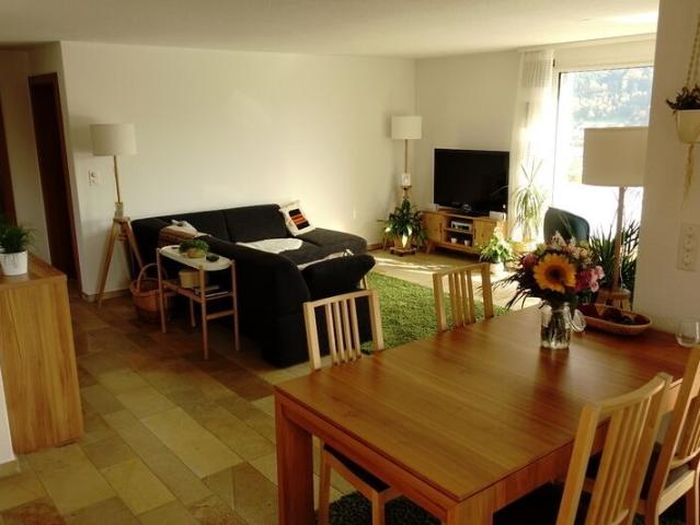 31/2 ROOM APARTMENT IN EBIKON LU, FURNISHED, TEMPORARY