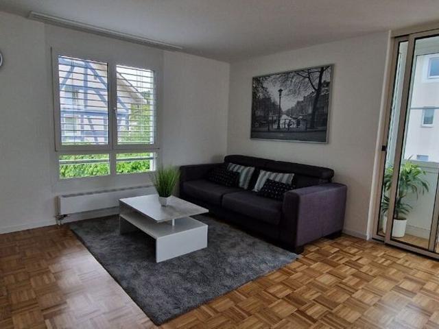 31/2 ROOM APARTMENT IN LANGWIESEN ZH, FURNISHED, TEMPORARY