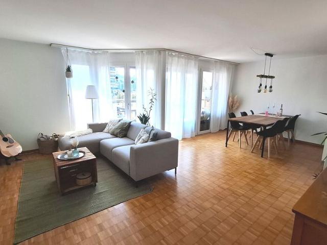 31/2 ROOM APARTMENT IN WETZIKON ZH, FURNISHED, TEMPORARY