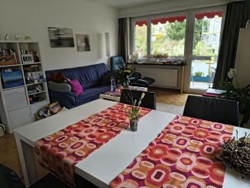 31/2 ROOM APARTMENT IN WINTERTHUR LAKES, FURNISHED, TEMPORARY