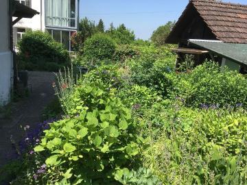 Neunforn, Bezirk Frauenfeld, Thurgau - Terrasse