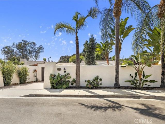 31311 Paseo Naranja