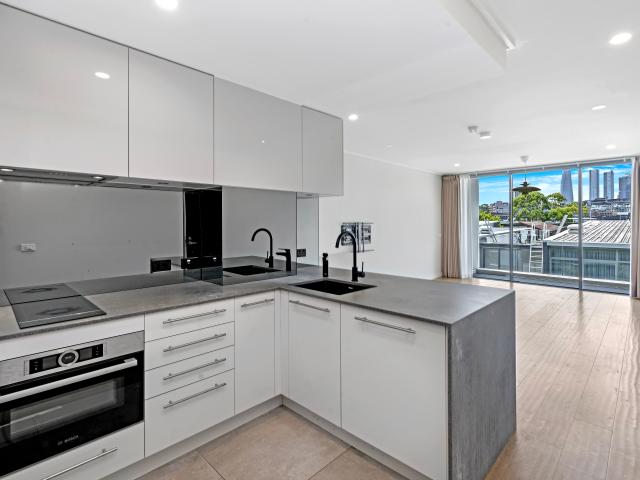 313/14 Griffin Place, Glebe