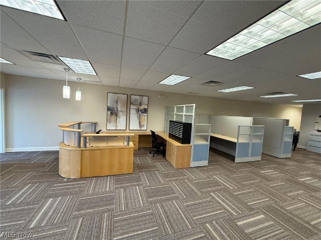 31320 Solon Road 19