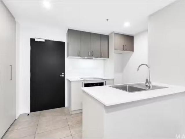313/2 Limburg Way, Greenway Apartment for rent Listed by Anto.