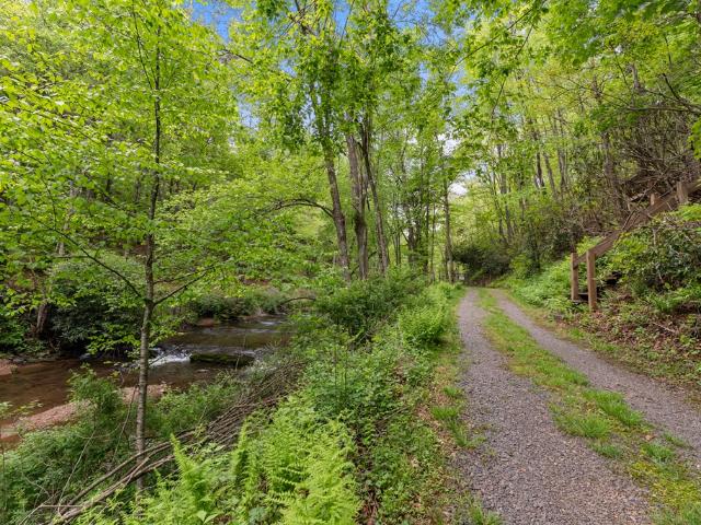 313/317 Little Reed Acres Ln