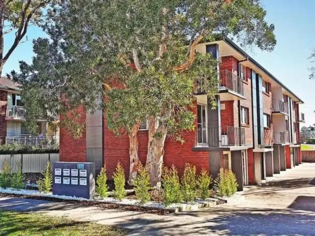 3/144 Teralba Road, ADAMSTOWN House for rent Listed by Ashlei.