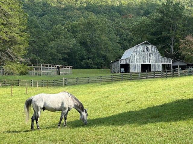 3147 Old Hwy 64 W, Warne, NC