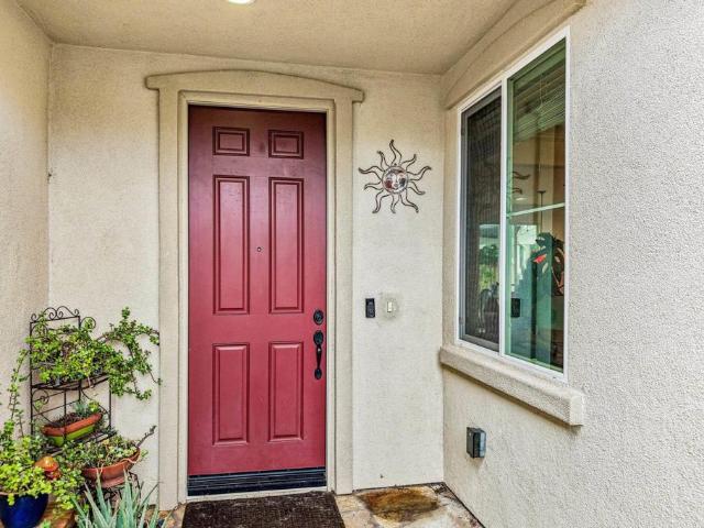 31482 Partridgeberry Drive