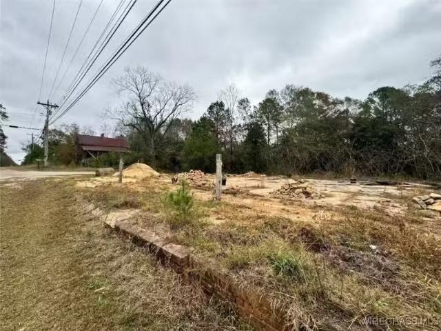 31487 COUNTY ROAD 107, RED LEVEL, AL 36474