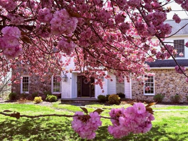 314 Belmont Court