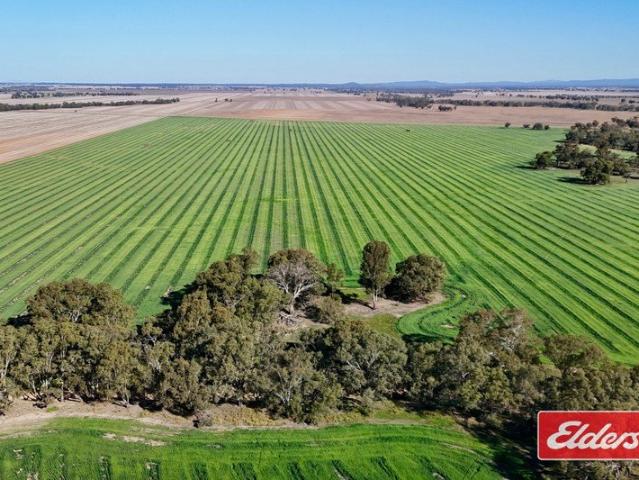 314 hectares 775 acres* |Loddon River Frontage|92% Arable|Proven Cropping Country