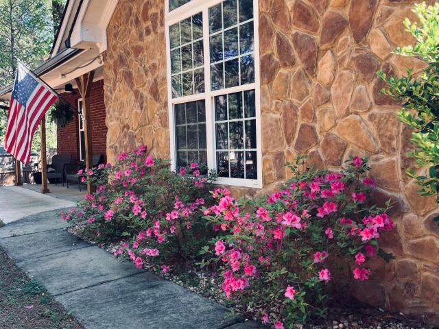 314 Mountain Creek Drive
