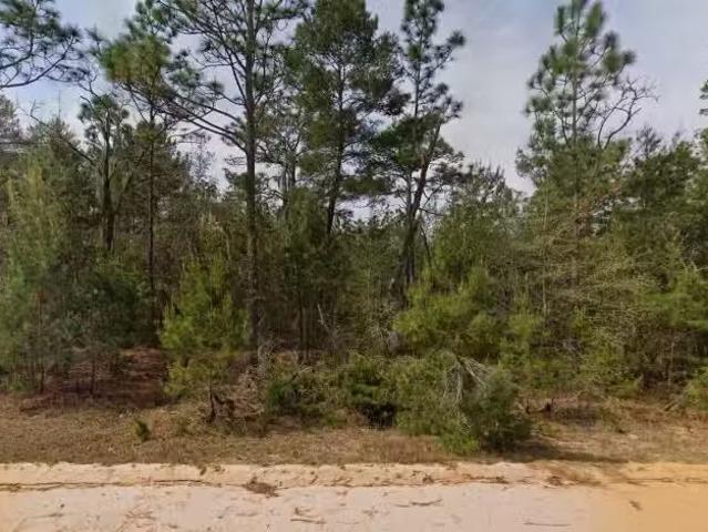 314 Neisman Ave, Interlachen, FL 32148 MLS R11128158