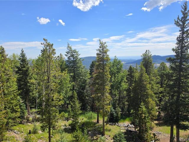 31547 Conifer Mountain Drive