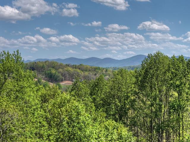 315 Blue Berry Ridge, Morganton, GA 30560 | MLS #429786
